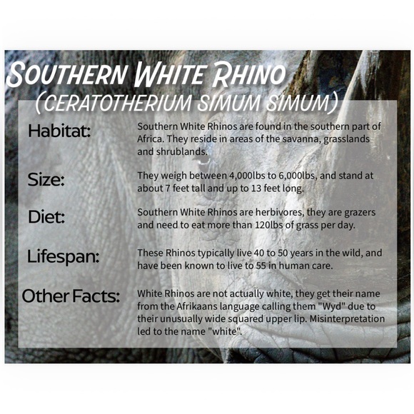 ❤️Helping Animals❤️ - Picture 3 of 3